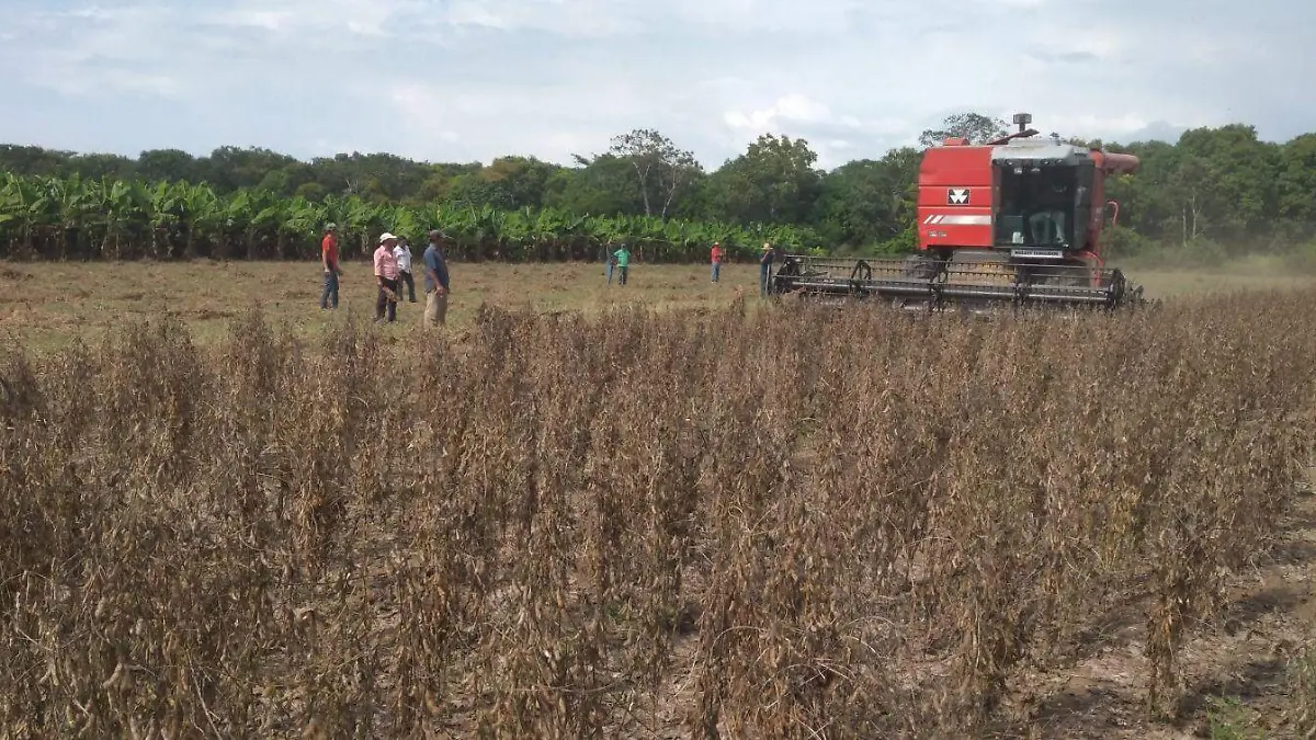 CAMPO SIN AGUA 1